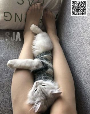 蓝兰岛漂流记_HD高清完整版播放