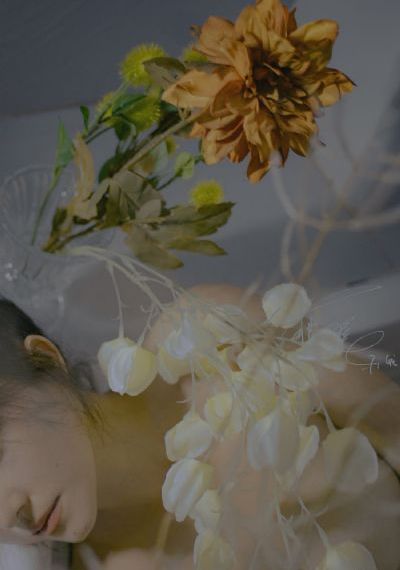 生死归途_在线完整观看