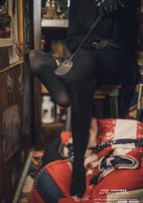 堕落的圣骑士动漫在线免费观看_高清免费高清观看