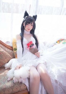 了不起的女侠_超清免费观看电视剧